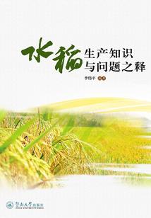 我的青春我的迷茫