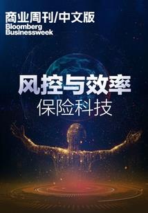 玫瑰园中的野雏菊