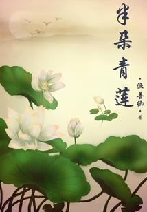 望闻录