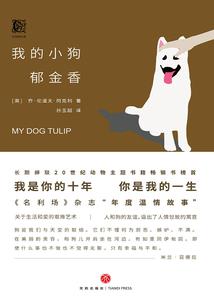几何定影