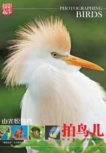 老天叫我去种田