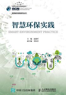 种下一棵星辰花