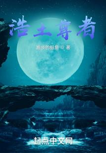 裁决见闻录