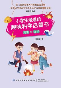 赛尔号之神秘的伊布