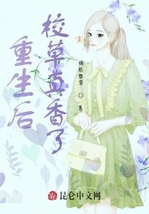 扫荡光明之国