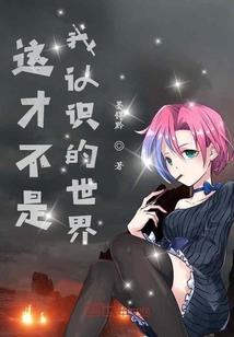 双子星传