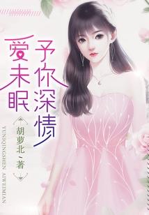全职法师之后世传