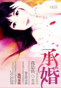 婉清传