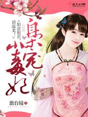 美术小说家