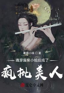 穿越异世月之情天之爱