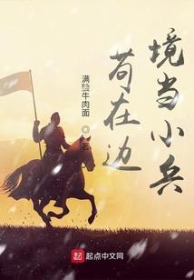 盛夏安澜