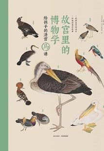 独立空间之主神阴影