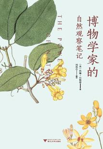 我是腹黑女