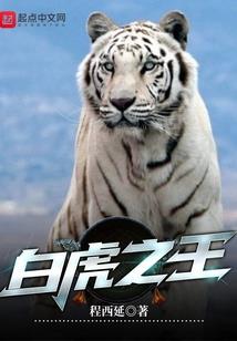 混沌至