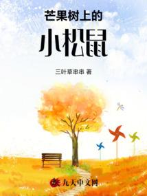 第三视点