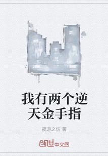 星陨至圣