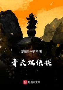 野鸡大领主