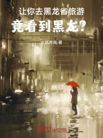 医婿无双