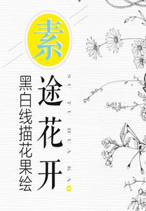 开天解道