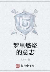 未来之翼