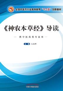 琛南旧事