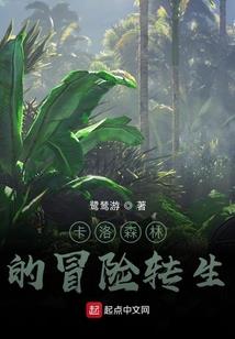 开局穿越成一把刀