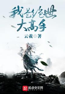 爱情公寓网文篇