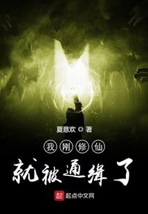 从斗罗开始的数码三