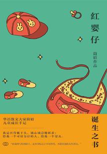 异世之黑夜骑士