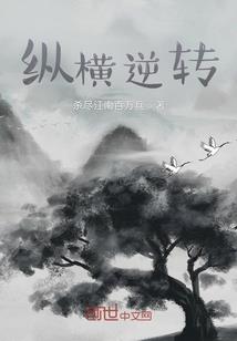 幻想魔兽编年史