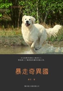 梦中航行