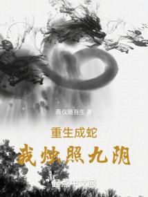 神奇宝贝之全球降临