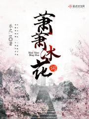 风光二嫁：总裁要追妻