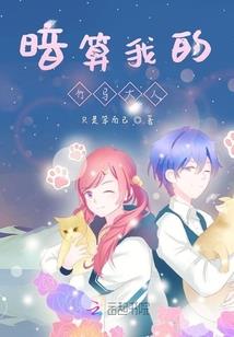 执着之爱