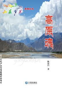重生之都市邪龙