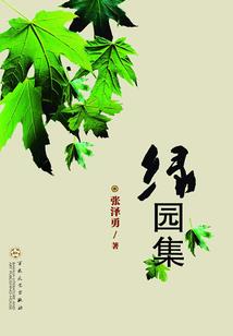 火影之人生的意义
