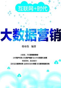 王爷，王妃娘娘跑了