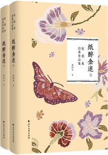 南宋录