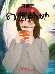 异世袁公传