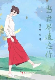 无上之阶