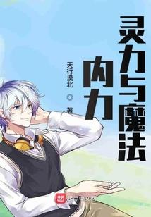 无限斯特拉托斯之另一半