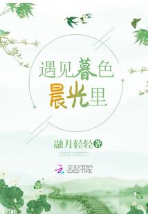 猎魔圣骑士