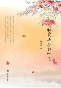 错爱之十里红妆