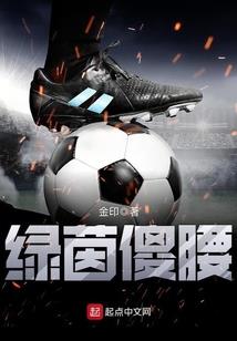 大陆英雄