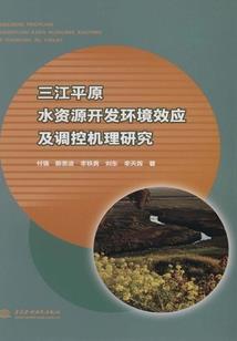 青春遗失的风铃