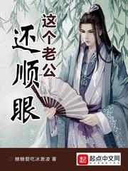 风华——夜尽之曦