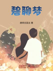 赤宋布局师