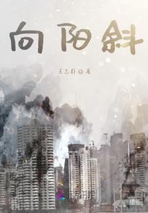 月色下的钢琴曲