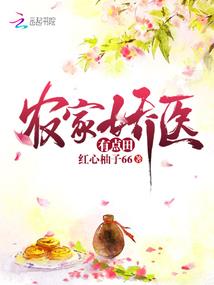 探龙之都市风云