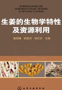 赤鲸